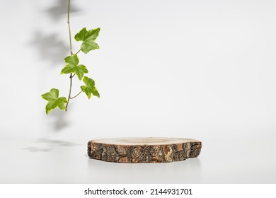 Round wooden cylinder shape display with plant leaf and shadows. Minimal geometric podium for eco cosmetics product presentation