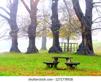 Picnic Bench Images Stock Photos Vectors Shutterstock