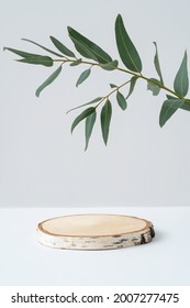 Round wooden podium and eucalyptus branch on grey background. Natural product mockup with birch saw cut and green leaves. Modern eco cosmetic advertising. Beauty presentation. Front view.