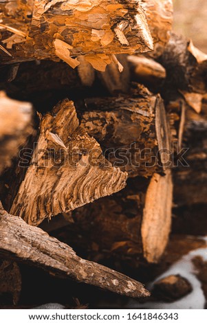 round wooden stacked logs background