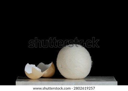 A round wool sphere rests next to a broken eggshell on a marble platform. Crisp studio side lighting creates a contemplative mood. No people are visible. It symbolizes escape and birth.