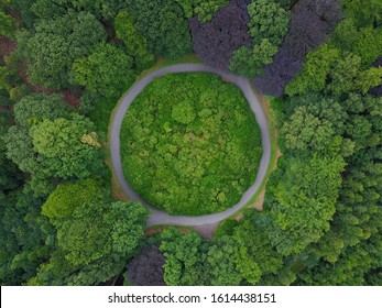 Kruhový objezd uprostřed lesa v Belgii. Kruhová silnice obklopená stromy