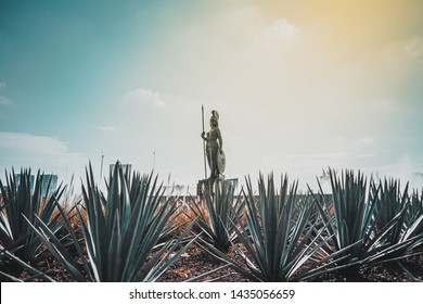 Roundabout of minerva goddess of wisdom, arts and military strategy in addition to the protector of Rome, in this case of Guadalajara, surrounded by agave plants from which tequila is obtained