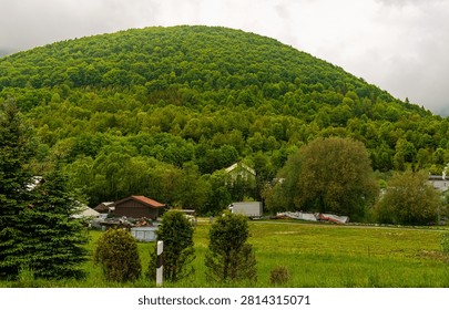 Rounded mountain densely covered with mixed deciduous forest overlooking a quiet countryside settlement. Fresh spring foliage of European beech (Fagus sylvatica), silver birch (Betula pendula) and Norway spruce (Picea abies) dominates the vibrant green landscape.