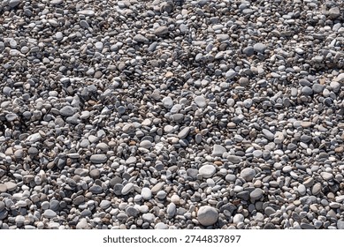 Rounded pebbles. The ground is covered with large and small pebbles.