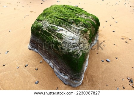 Rounded rock covered by moss lying over sand and pebbles in Sopelana beach, Basque country