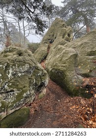 Rounded weathered sandstone blocks form a narrow passage. Moss, lichen, and fallen needles soften the sculpted rock, while misty pines loom in the background.