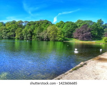 Roundhay Park In Summer, May,Leeds