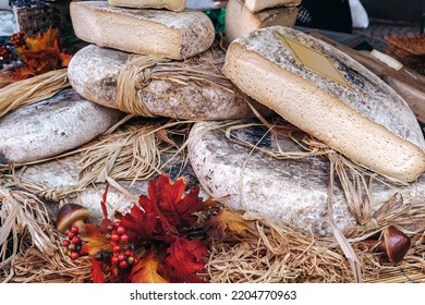 Rounds And Pieces Of Artisan Cheese On The Stall At Seasonal Food Market In Alba, Piedmont, Northern Italy.