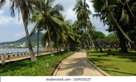 Rout in the park with green grass coconut tree