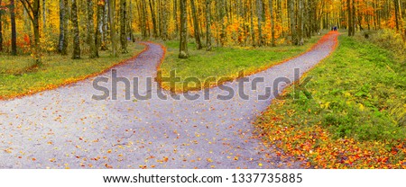 The route in the autumn park diverges into two hiking trails in different directions.