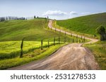 Route of the Via Francigena, winding road, wheat fields and trees. Monteroni d