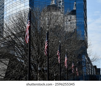 a row of american flags in front of bare tree branches with the reflection of a white building on the side of another tall glass building in the distance in the city