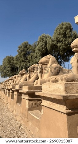 A row of ancient ram-headed sphinx statues under a clear blue sky. Historical stone sculptures from ancient Egypt, symbolizing protection and divine power.
