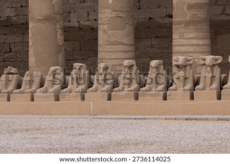 Row of ancient ram-headed sphinx statues at the Temple of Karnak in Luxor, Egypt, set against towering stone columns and weathered sandstone walls. 

Iconic archaeological landmark showcasing Pharaonic architecture, history, and monumental sculpture in a desert temple courtyard.