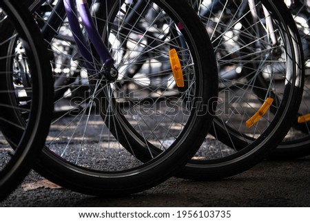 Row of bicycle in bike shop. Detail view of a bike wheel with more bicycles lined up. Bicycle rent. Closeup of wheels.