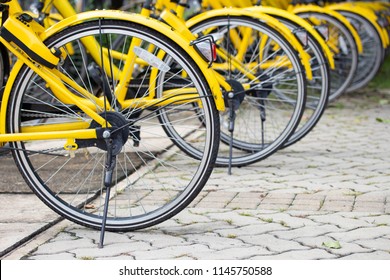 Row of bicycles parked. Yellow bicycles stand on a parking for rent. Pattern vintage bicycles bikes for rent on sidewalk in university. Selective focus.