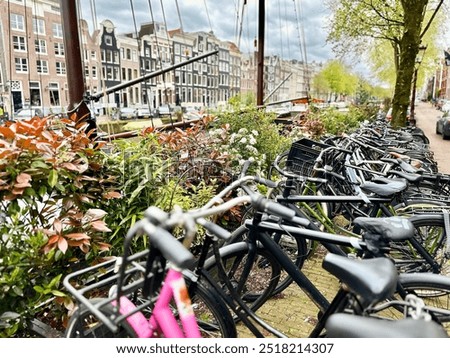 Similar – Image, Stock Photo Spring in grey Gloomy