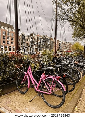 Similar – Image, Stock Photo Spring in grey Gloomy