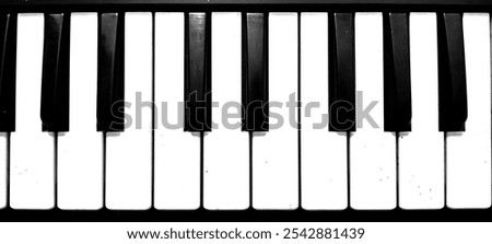 A row of black and white piano keys