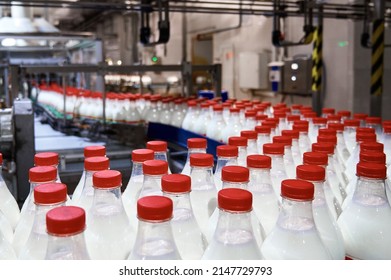 Row of bottles with pasteurized milk on conveyor belt - Powered by Shutterstock