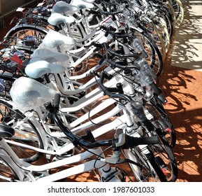 Row Of Brand New Woman Bicycles In The Showcase  Of Bike Shop In The Sunlight.