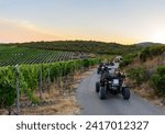 A row of buggy vehicles on road during a tour through the vineyards of Korcula Island in Croatia
