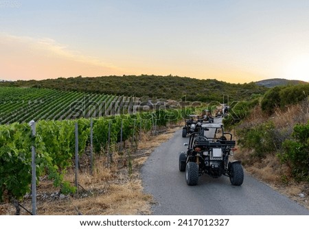 A row of buggy vehicles on road during a tour through the vineyards of Korcula Island in Croatia