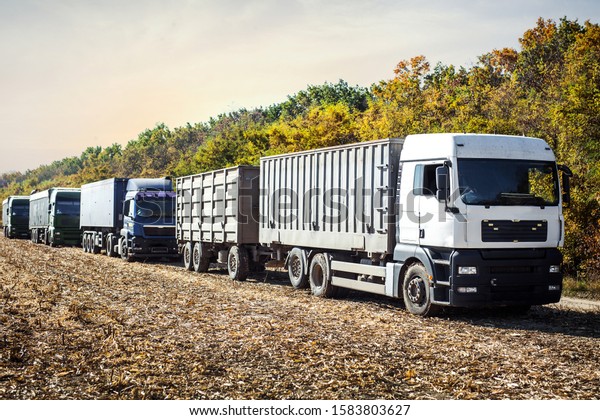 a row of cars in line are standing in line for\
packing grain