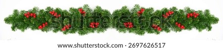 a row of Christmas tree branches