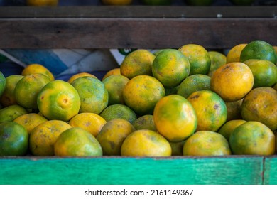 A Row Of Citrus Fruits On Display On One Of The Shelves Of A Fruit Shop