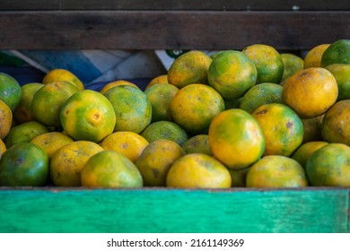 A Row Of Citrus Fruits On Display On One Of The Shelves Of A Fruit Shop