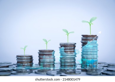 Row of coins for business background, money savings and accounts, bank finance. business concept idea, investments, funds, dividends, financial transactions, trees growing on coins, business growth.