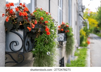A row of colourful window boxes below tall glass windows on the exterior of a large luxury grey house. The containers are filled with orange, red and delicate white flowers and cascading lush green plants. The boxes are white plastic and are in black metal frames. 
