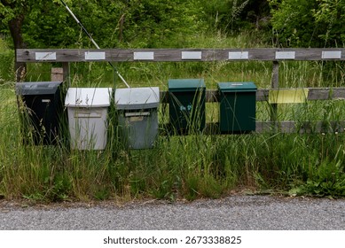 A row of different roadside mailboxes stands along a quiet road in rural Sweden, symbolizing local community life and Scandinavian countryside charm.