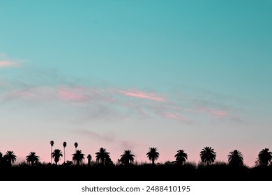 Row of different types of palm trees silhouetted against blue and pink sunset sky with copy space - Powered by Shutterstock