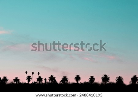 Row of different types of palm trees silhouetted against blue and pink sunset sky with copy space