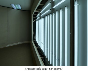 Row of electric light inside wall to make back light for display board. Renovate and improve wall for exhibition in hall. Structure of lighting while on preparation process.