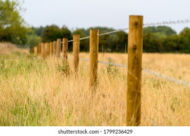 Row Of Fence Posts In A Meadow