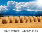 Row of golden hay bales in a sunny summer day with a beautiful blue sky with cumulus clouds (cumulonimbus) on background, Padan Plain or Po valley (Pianura Padana), Lombardy, Italy, southern Europe.