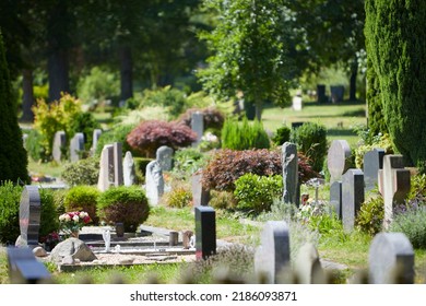 row of graves on a grave yard