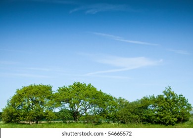 A Row Of Green Trees And Bushes Against A Blue Sky