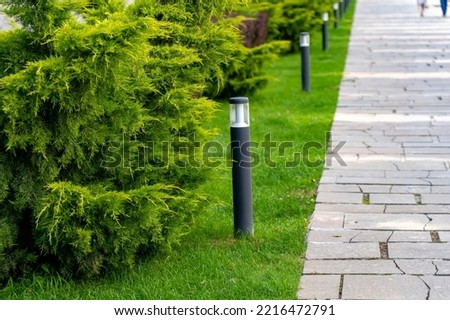Row of ground street lights on lawn with thuja on border with pedestrian pathway made of paving slabs in park