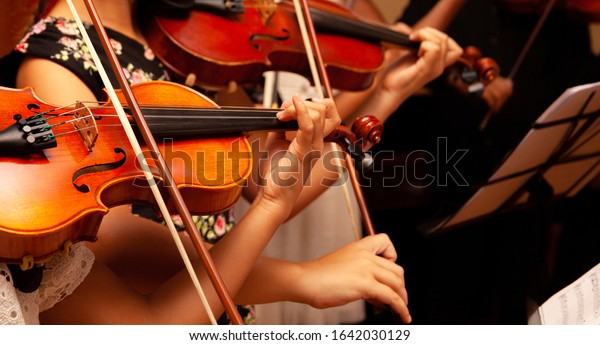 Row, group of anonymous violin players,\
children, people playing, bows in hands, stands in front, closeup.\
Classical music concert simple performance kids orchestra string\
section / quartet\
performing