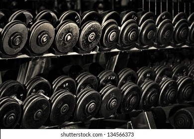 Row Of Hand Barbells Weight Training Equipment