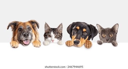 Row of heads of dogs and cats with paws up hanging over a blank white sign sized for website banner or social media header