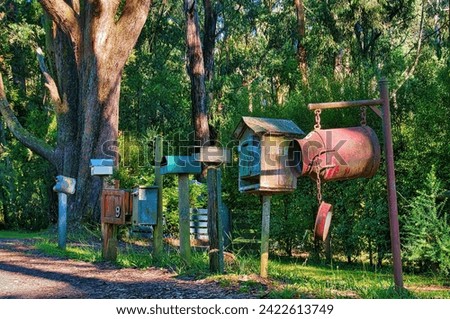 Row of individualistic rural letterboxes by the roadside of a country lane in a forest in Victoria, Australia
