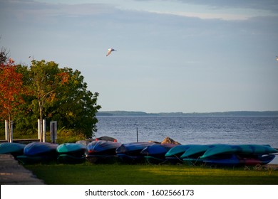Row of kayaks at Clinch Park on West Traverse City Bay Area on clear fall day. The popular beach park features over 1500 feet of sand along lake Michigan and has many outdoor activities. - Shutterstock ID 1602566173