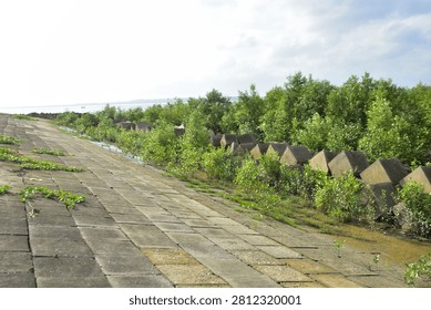 A row of large concrete erosion‑control blocks placed along a paved riverbank walkway beside dense green mangrove vegetation. The muddy ground and partly cloudy sky indicate a coastal low‑tide environment, highlighting shoreline stabilization, flood protection, and sustainable riverbank engineering.