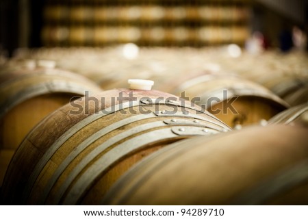 Row of Large Imported French Oak Wine Barrels at a Winery